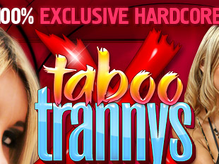 TabooTrannys - HD Tranny Porn Models